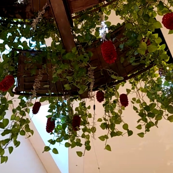 Hi, thanks for visiting my posh closet!! - Picture 1 of 1